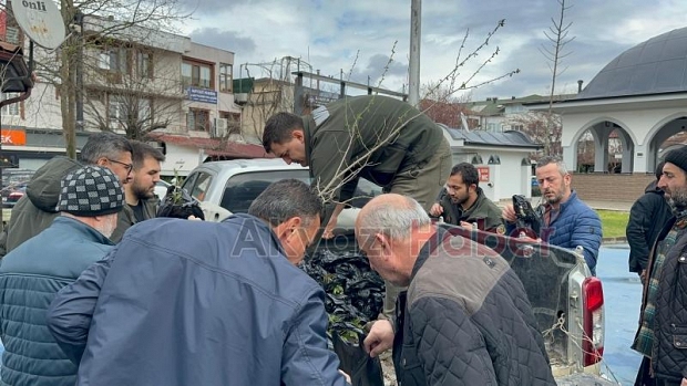 Akyazıda orman haftasında ücretsiz fidan dağıtıldı
