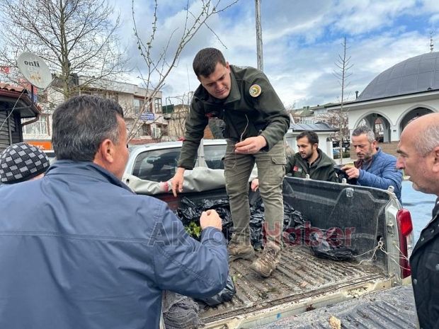 Akyazıda orman haftasında ücretsiz fidan dağıtıldı
