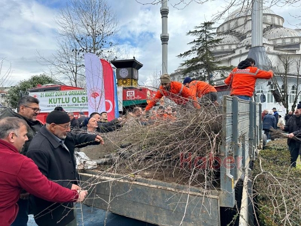Akyazıda orman haftasında ücretsiz fidan dağıtıldı