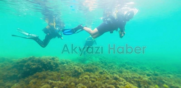 Kerpe koyundan tarih çıktı