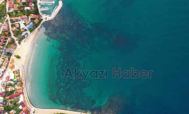 Kerpe koyundan tarih çıktı