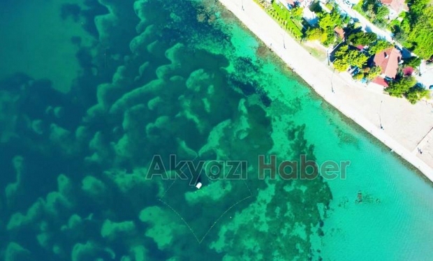 Kerpe koyundan tarih çıktı
