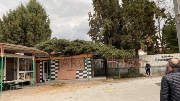 Fırtınanın yıktığı ağaç kantinin üzerine devrildi