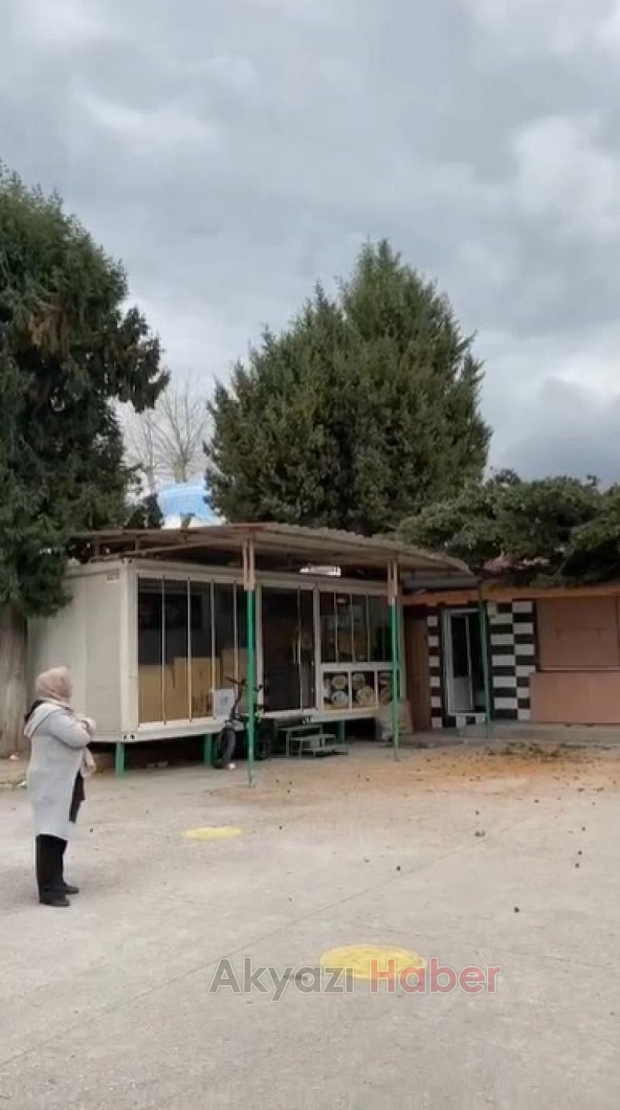 Fırtınanın yıktığı ağaç kantinin üzerine devrildi