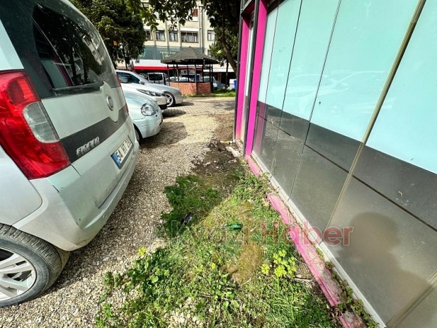 Akyazı merkez aile parkında tepki çeken görüntü