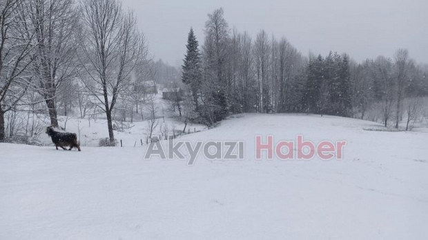 Sakarya'nın yükseklerine kar yağıyor
