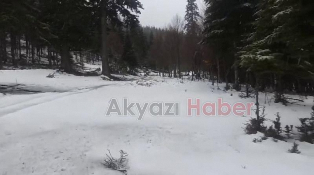 Sakarya'nın yükseklerine kar yağıyor