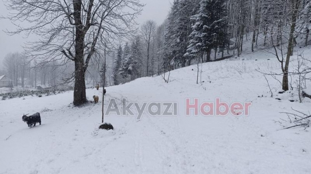 Sakarya'nın yükseklerine kar yağıyor