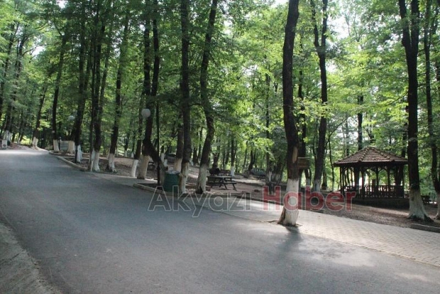 Akcan Dozajı Yükseltti 