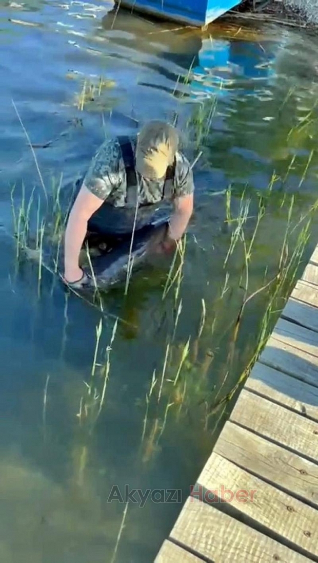 Sapanca Gölü'nde dev yayın yakaladı