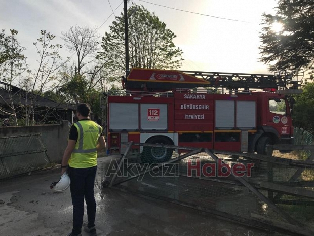 Besi çiftliğindeki yangında kurbanlıklar telef olmaması için kesildi