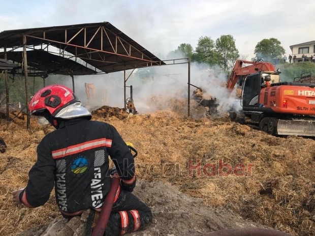Besi çiftliğindeki yangında kurbanlıklar telef olmaması için kesildi