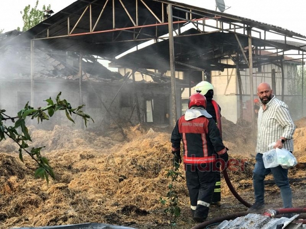 Besi çiftliğindeki yangında kurbanlıklar telef olmaması için kesildi