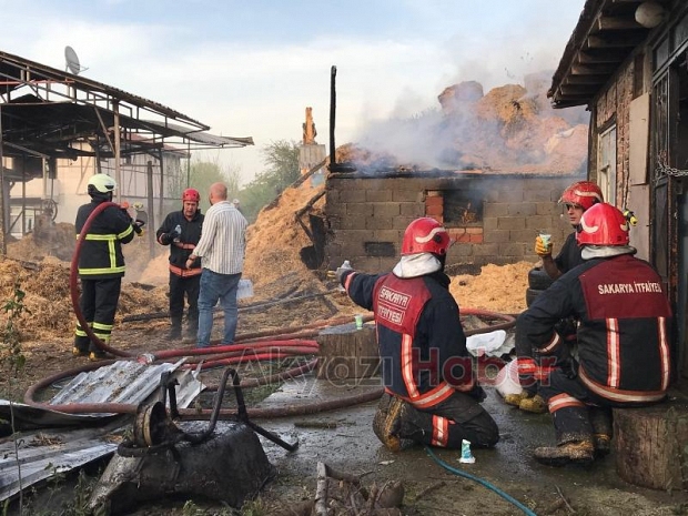 Besi çiftliğindeki yangında kurbanlıklar telef olmaması için kesildi