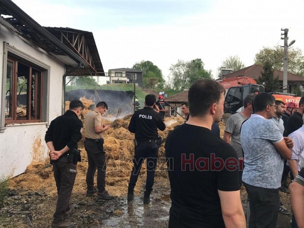 Besi çiftliğindeki yangında kurbanlıklar telef olmaması için kesildi