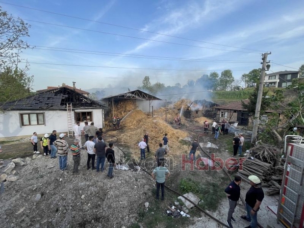 25 kurbanlığın telef olduğu yangına 20 itfaiyeci müdahale etti