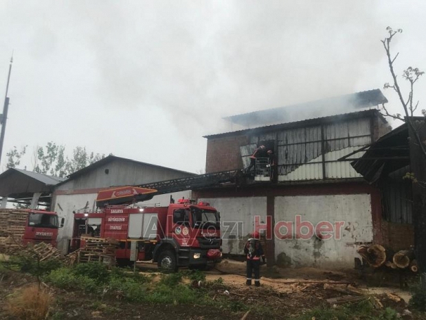 Orman Ürünleri fabrikasında yangın 
