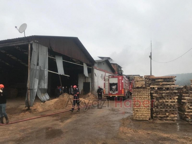 Orman Ürünleri fabrikasında yangın 