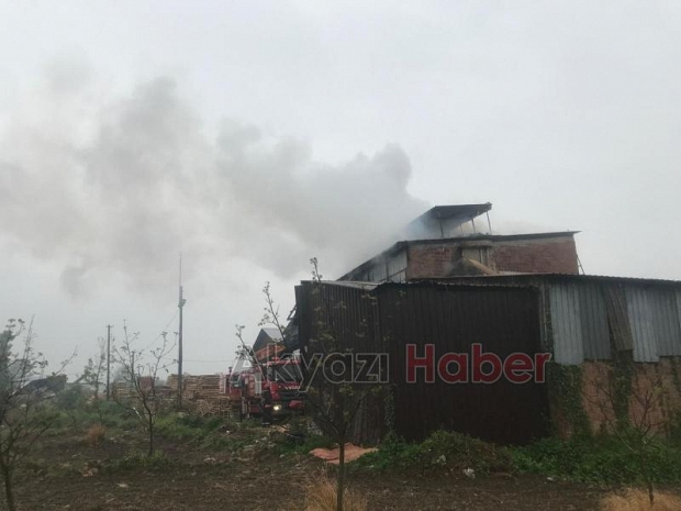Orman Ürünleri fabrikasında yangın 