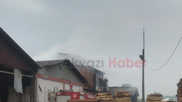 Orman Ürünleri fabrikasında yangın 