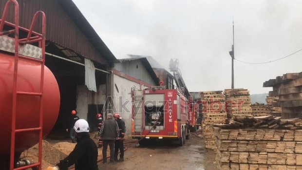 Orman Ürünleri fabrikasında yangın 