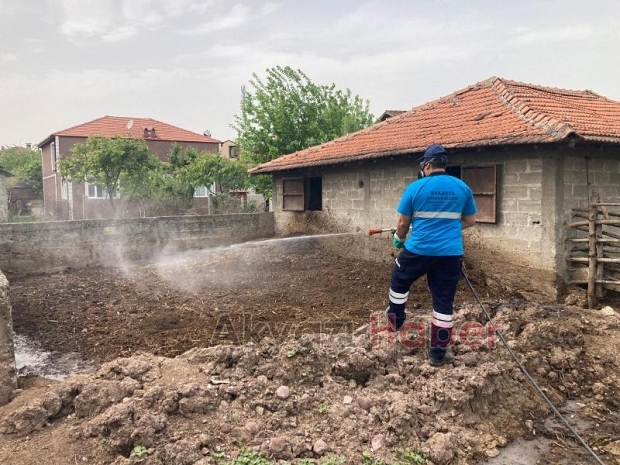 Sakarya'da haşere ve vektörlerle mücadele