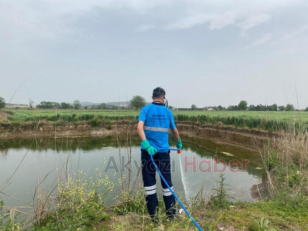 Sakarya'da haşere ve vektörlerle mücadele