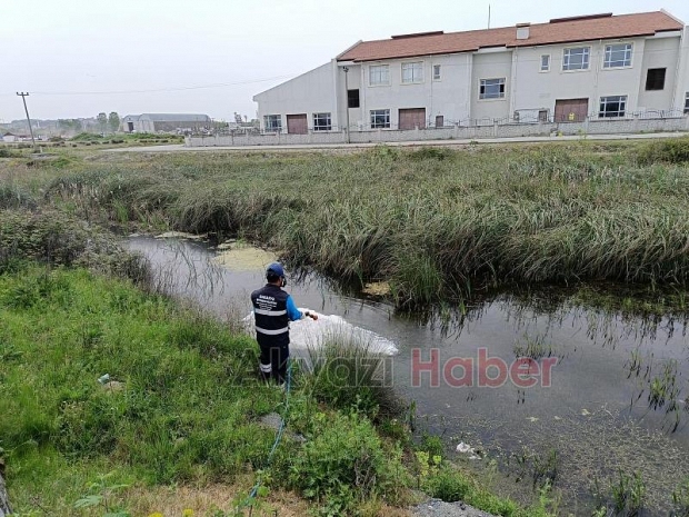 Sakarya'da haşere ve vektörlerle mücadele