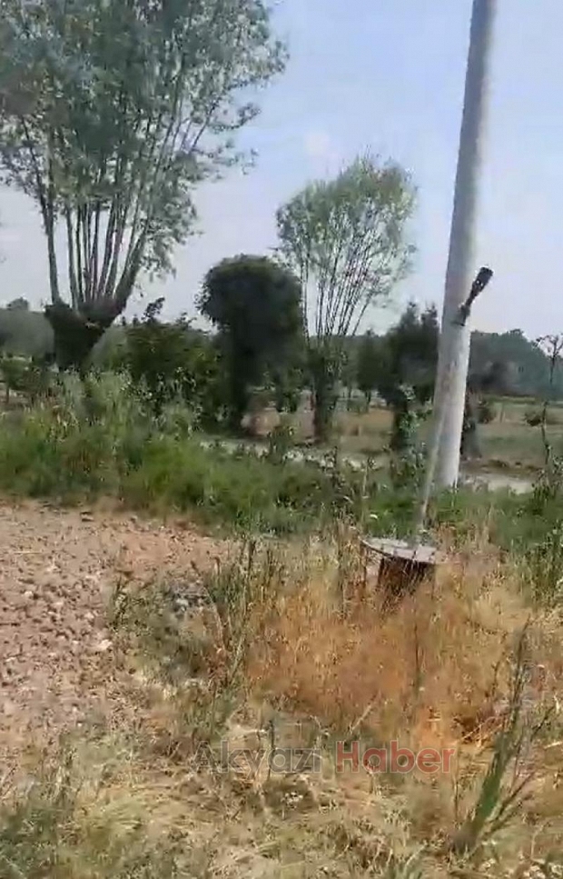 Eskibedil'de tarladan gaz çıktı