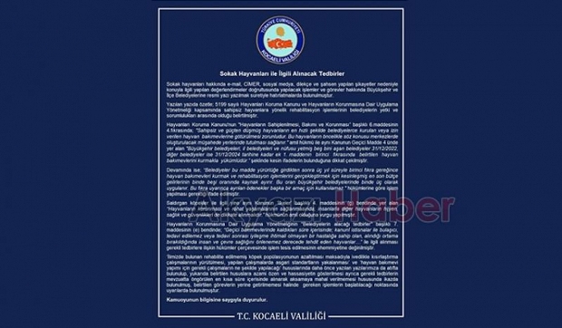 Kocaeli Valiliği sokak hayvanları için belediyelere yazı gönderdi