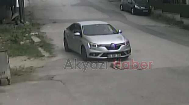 Dehşet anları Köpeği ezip böyle kaçtı!