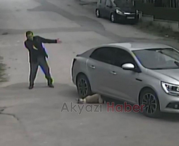 Dehşet anları Köpeği ezip böyle kaçtı!