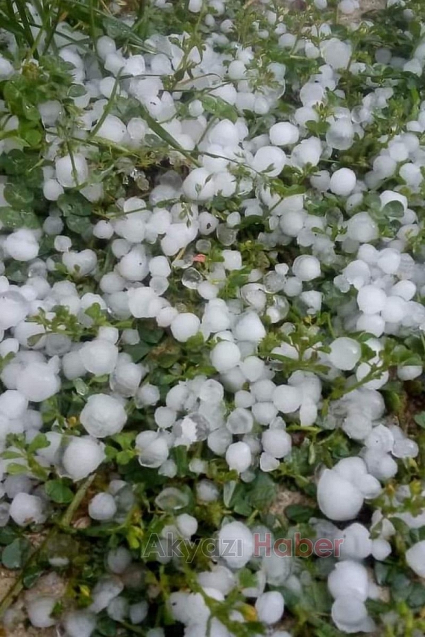 Dolu yağışı fındık bahçelerini vurdu