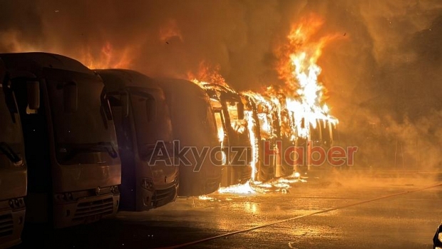 Alev alev yanan 15 araçtan geriye iskeletleri kaldı
