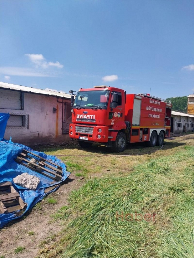 Süpren yolunda tavuk çiftliğinde yangın