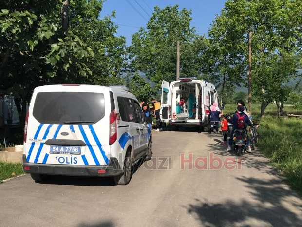 Erik Ağacından düşen kadın hastanelik oldu