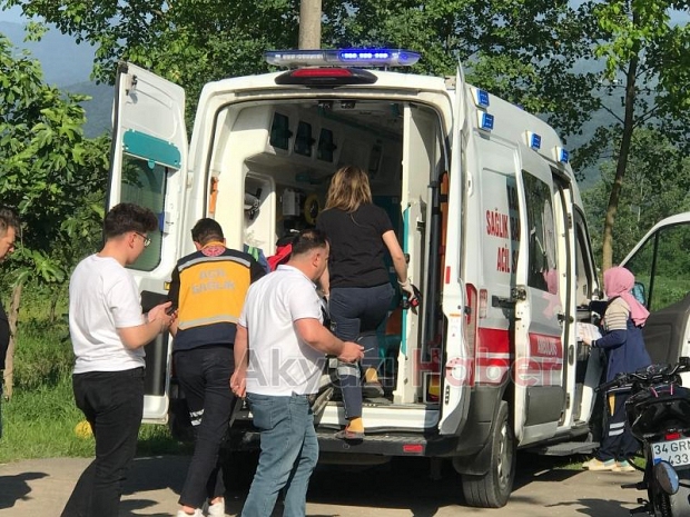 Erik Ağacından düşen kadın hastanelik oldu