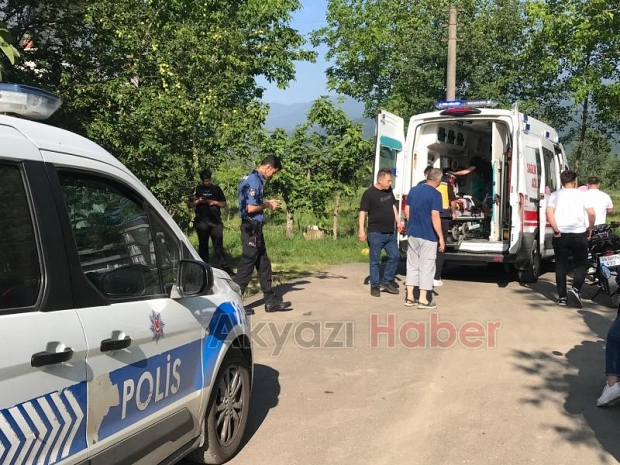 Erik Ağacından düşen kadın hastanelik oldu
