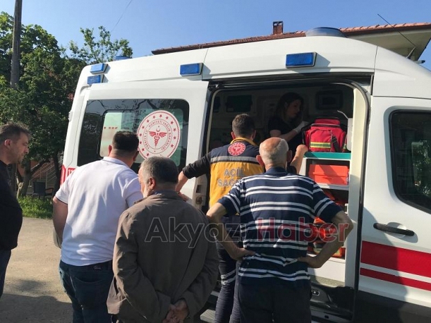Erik Ağacından düşen kadın hastanelik oldu