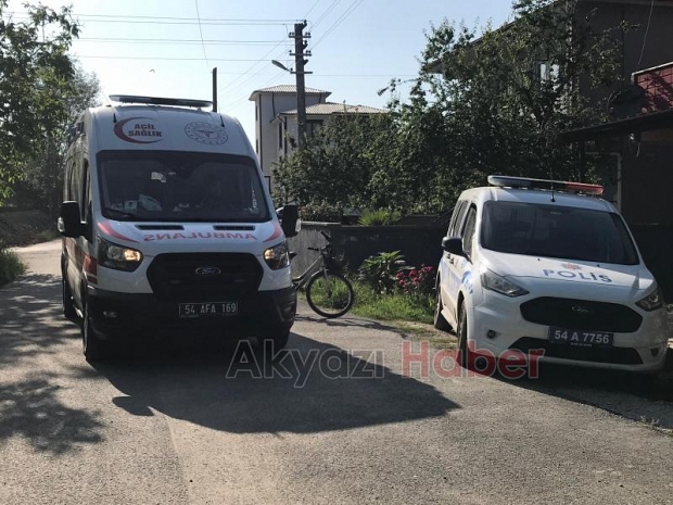 Erik Ağacından düşen kadın hastanelik oldu