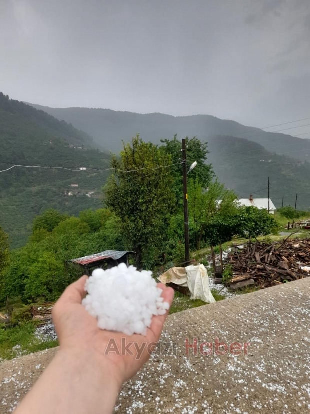 Dolu yağdı fındık bahçelerinde zarar var