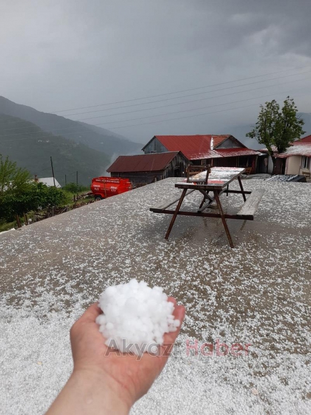 Dolu yağdı fındık bahçelerinde zarar var
