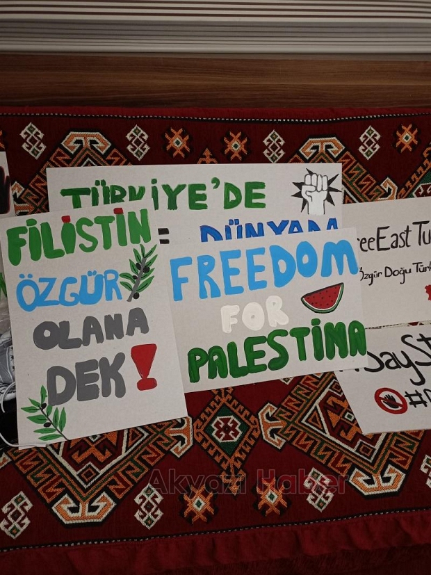 Akyazı'da üniversiteliler Filistin ve Doğu Türkistan için yürüdü