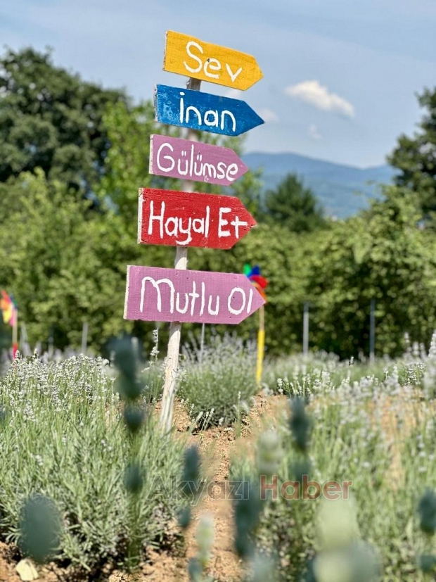 Kuzuluk Lavanta Bahçesi  