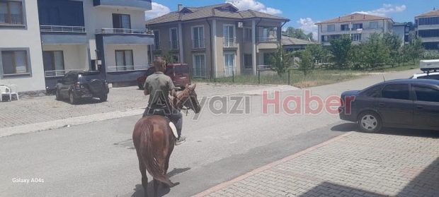 Amcasının oğlunun Atla Gel İsteğine gerçekten atla geldi