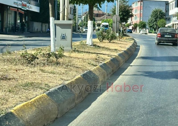 Akyazı halkı bu güzelliği hak etmiyor mu