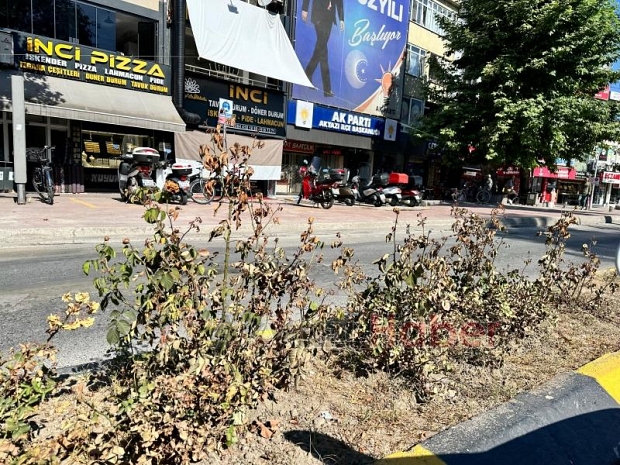 Akyazı halkı bu güzelliği hak etmiyor mu