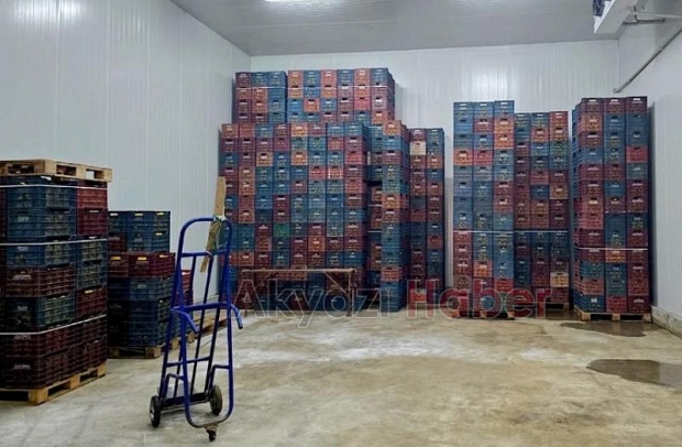 Mersin'de iki depoda kayıt dışı 380 ton limon tespit edildi