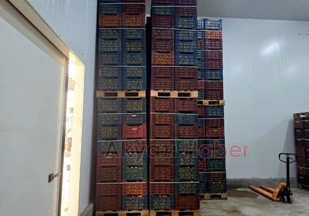 Mersin'de iki depoda kayıt dışı 380 ton limon tespit edildi