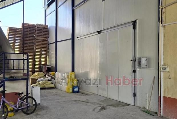 Mersin'de iki depoda kayıt dışı 380 ton limon tespit edildi